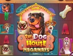 MostBet-AZ The Dog House Megaways | Şən İtlərin Dünyası
